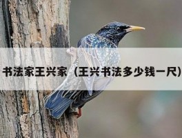 书法家王兴家（王兴书法多少钱一尺）