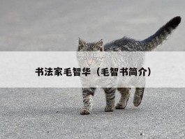书法家毛智华（毛智书简介）