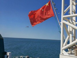 画家王卫宁作品多少钱(青岛王卫宁画家)-画家王卫宁联系方式