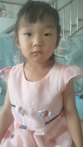 寻亲：陆辰依的亲生父母