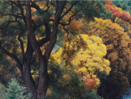 画家张文源作品多少钱(画家张文远资料)-画家张文源联系方式