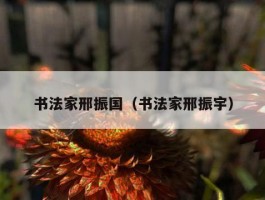 书法家邢振国（书法家邢振宇）