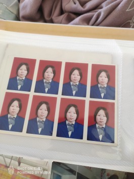寻亲：张文文