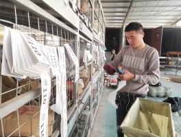 画家丁华明作品多少钱(台湾画家丁华永)-画家丁华明联系方式
