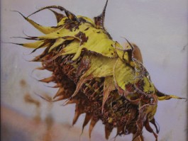 画家赵军作品多少钱(画家赵军田)-画家赵军联系方式