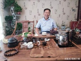 书法家蔡华义(北京书法家蔡华林)