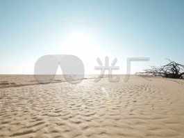 画家黄沙沙作品多少钱(书法家黄沙先生)-画家黄沙沙联系方式