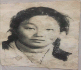 寻亲：崔用敏