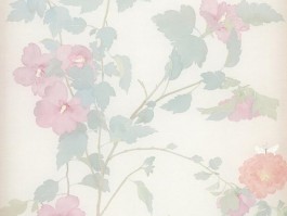画家杨娜作品多少钱(画家杨娜的书)-画家杨娜联系方式