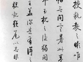书法家熊任望(保定书法家熊任望)