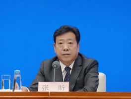 书法家张昕作品多少钱(书法家张昕军)-书法家张昕联系方式