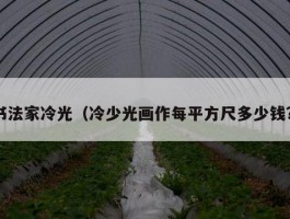 书法家冷光（冷少光画作每平方尺多少钱?）