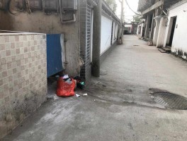 画家王世敏作品多少钱(书法家王世祯)-画家王世敏联系方式