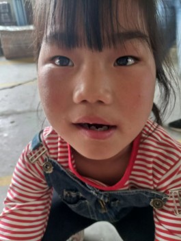 寻亲：马嘉悦