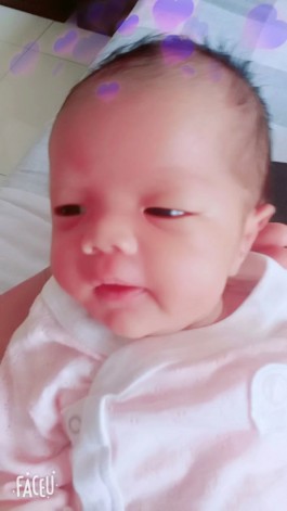 寻亲：高子林