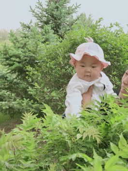 寻亲：王紫轩