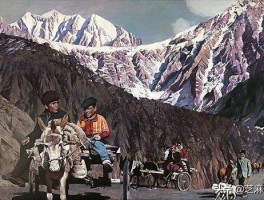 画家张桐源(画家张桐作品)