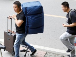 画家邹畅作品多少钱(歌手邹畅简介)-画家邹畅联系方式