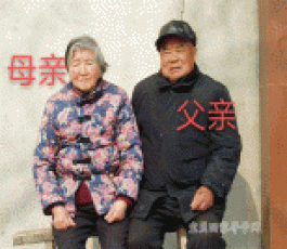寻亲：小二子