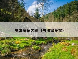 书法家蔡乙鹉（书法家蔡罕）