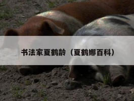 书法家夏鹤龄（夏鹤娜百科）