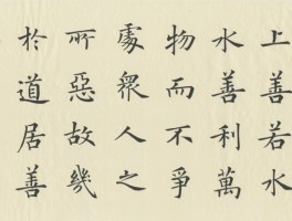 书法家阮天朝(书法家阮天朝个人简介)