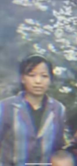 寻亲：沈理华