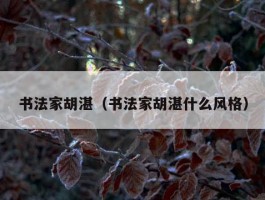 书法家胡湛（书法家胡湛什么风格）