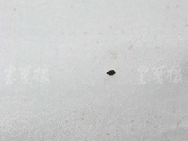 画家陈立言作品多少钱(书画家陈立夫作品价格)-画家陈立言联系方式