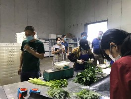 画家王少平作品多少钱(著名画家王少云)-画家王少平联系方式