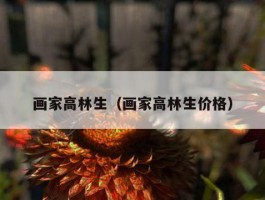 画家高林生（画家高林生价格）