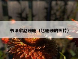 书法家赵珊珊（赵珊珊的照片）