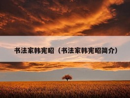 书法家韩宪昭（书法家韩宪昭简介）
