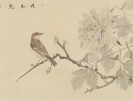 学院派 | 赵少俨的墨花墨禽，将宋画的严谨写实与元画的含蓄蕴藉融为一体