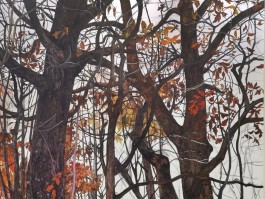 画家吴建宏作品多少钱(吴建画家的画价格多少)-画家吴建宏联系方式