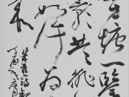 画家沈鹏作品多少钱(画家沈鹏飞)-画家沈鹏联系方式