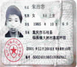 寻亲：朱治容