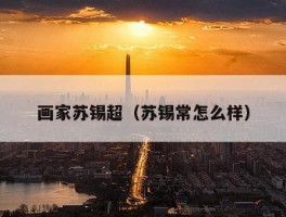 画家苏锡超（苏锡常怎么样）
