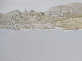 画家王宝龙作品多少钱(画家王宝钦作品图片)-画家王宝龙联系方式