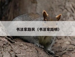 书法家路民（书法家路明）