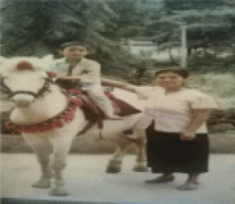 寻亲：邓龙