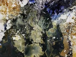 画家谭江宁作品多少钱(谭江海个人资料年龄)-画家谭江宁联系方式