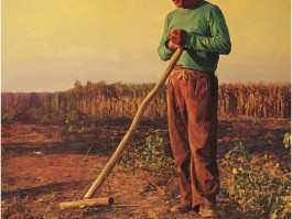画家郑艺作品多少钱(画家郑艺豪)-画家郑艺联系方式