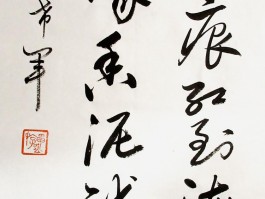 书法家权希军(书法家权希军简介图片)