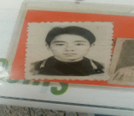 寻亲：杨玉涛