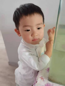 寻亲：赵承宇