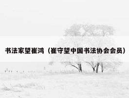 书法家望崔鸿（崔守望中国书法协会会员）