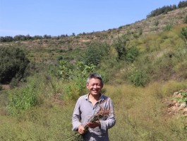 书法家姚同庆作品多少钱(书法家姚同庆简介)-书法家姚同庆联系方式
