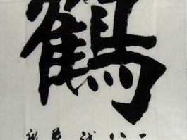 书法家康庄(书法家康庄的弟子有谁)