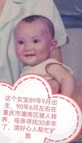 寻亲：月月